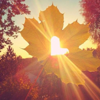 ����늜u���y���C�ļ��g�M��܇��